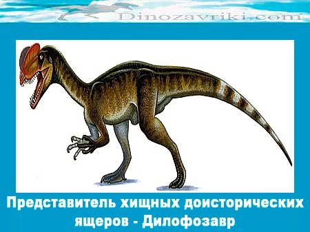 Открытки